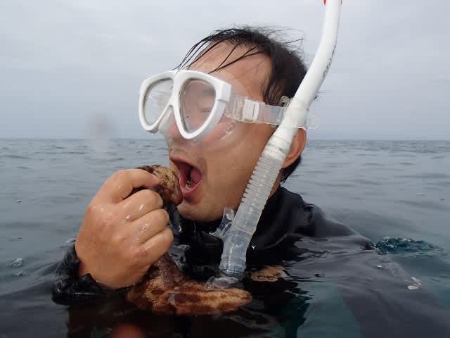 P4130004_640x480 P4130004_640x480