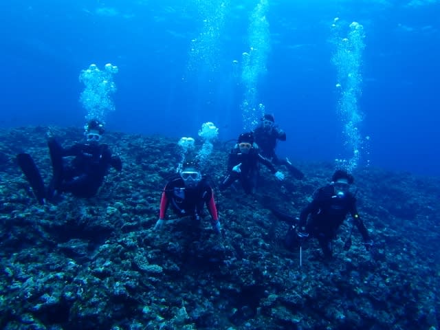 P9050002_640x480 P9050002_640x480