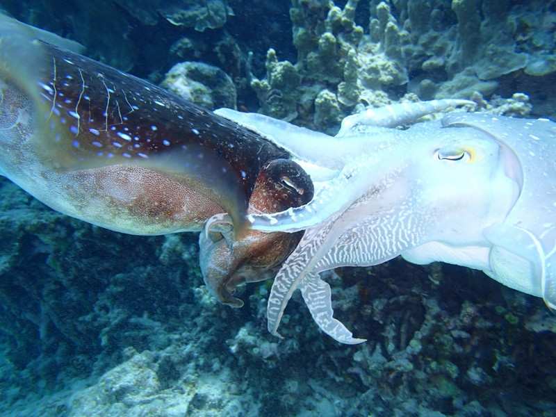 P5300028_1024x768 P5300028_1024x768