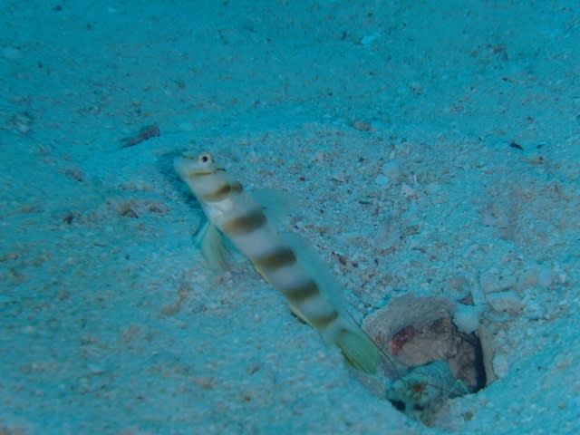 P7220013_640x480 P7220013_640x480