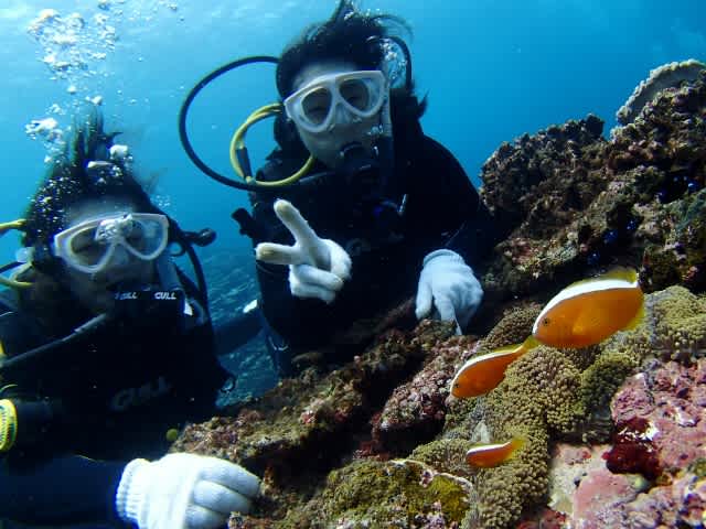 P8230020_640x480 P8230020_640x480