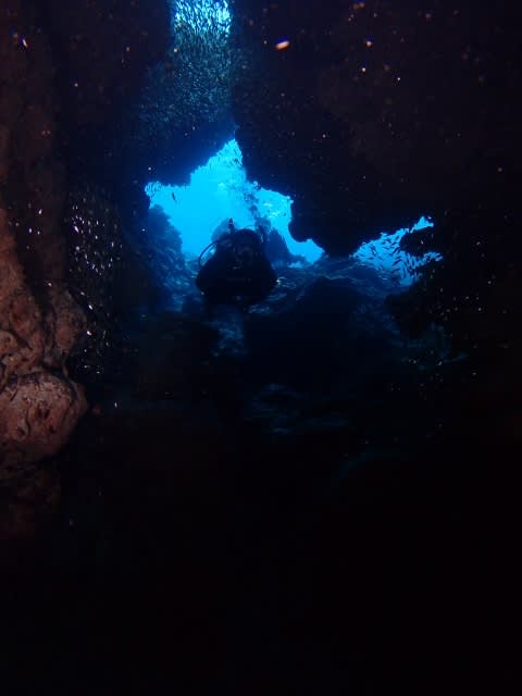 P8150024_640x480 P8150024_640x480