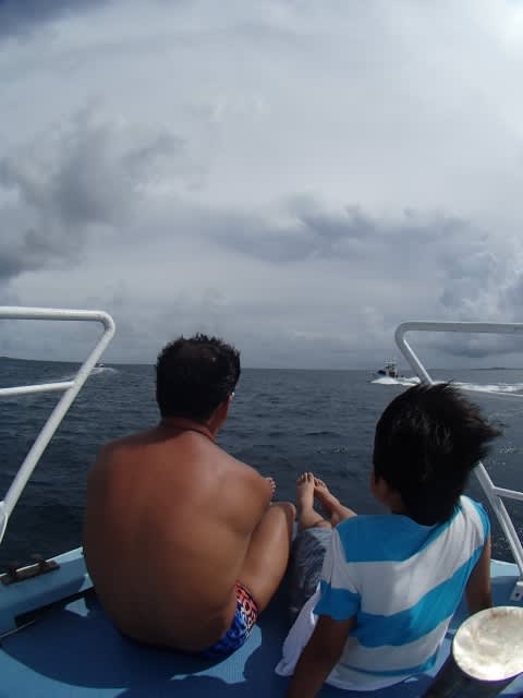 P8130041_640x480 P8130041_640x480