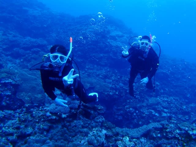 P9260016_640x480 P9260016_640x480