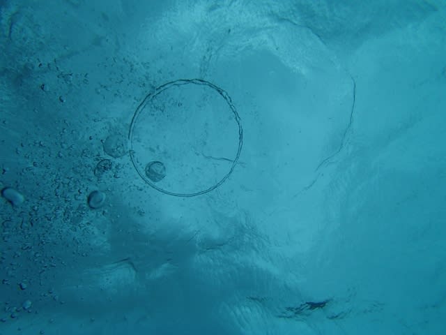 P40200131_640x480 P40200131_640x480