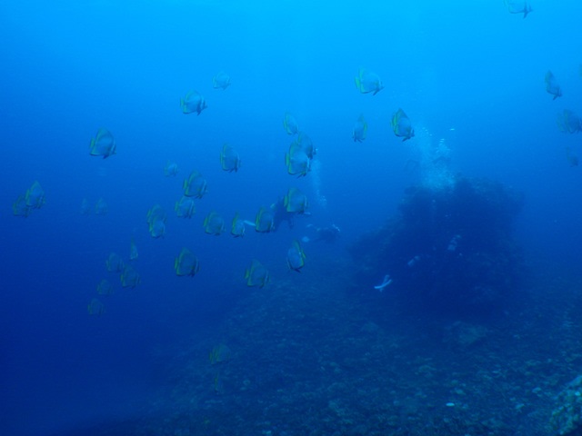 P5190005_3 P5190005_3