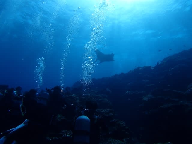 P9240034_640x480 P9240034_640x480