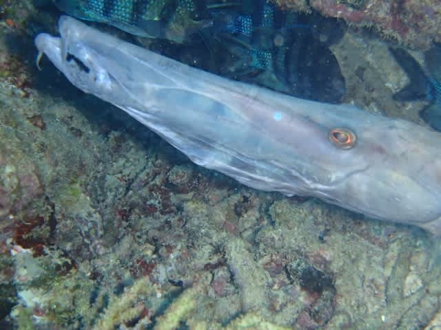 P9220008_640x480 P9220008_640x480