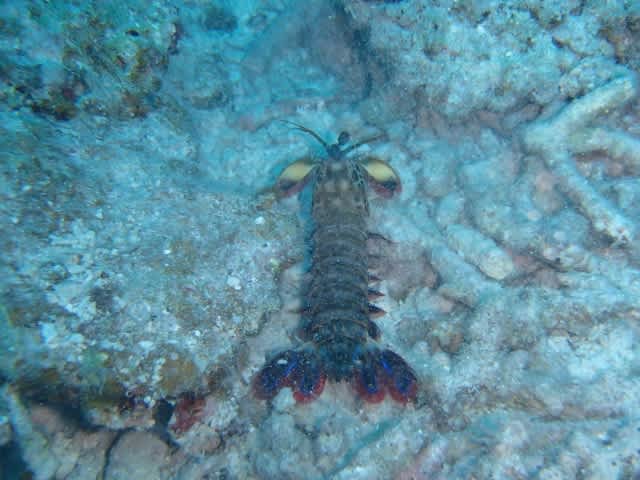 Pa220012_640x480 Pa220012_640x480