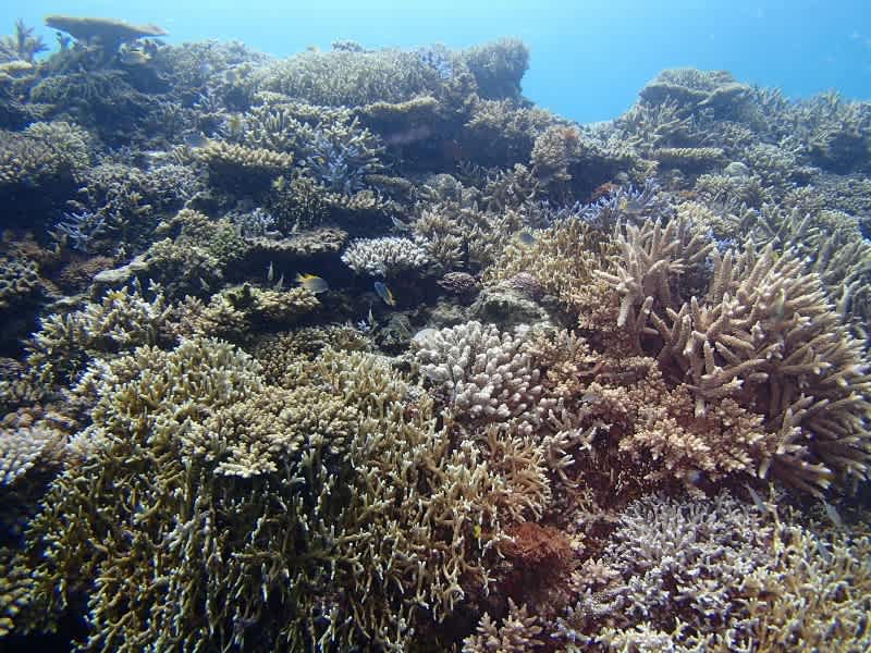 P6250010_800x600 P6250010_800x600