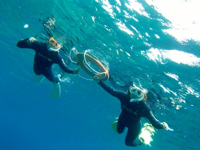 P4240150_640x480 P4240150_640x480