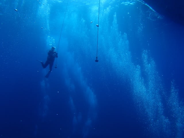 P9090007_640x480 P9090007_640x480