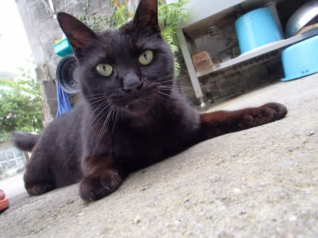 P3270011_640x480 P3270011_640x480