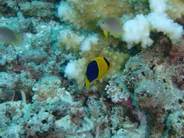 P8130002_640x480 P8130002_640x480