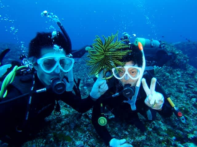 P9260066_640x480 P9260066_640x480