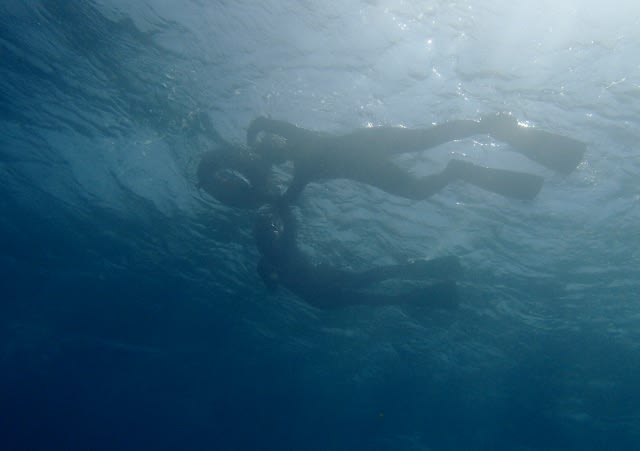 P6282248_640x451 P6282248_640x451