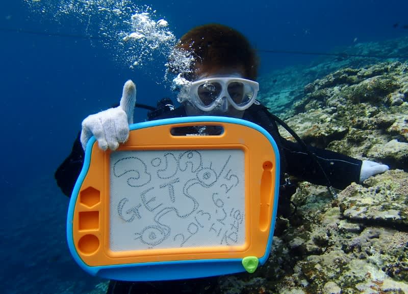 P6252113_800x578 P6252113_800x578