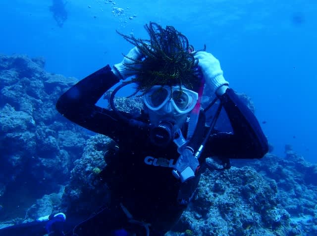 Pa070013_640x477 Pa070013_640x477