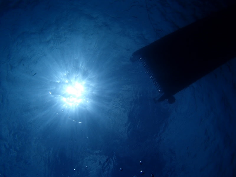 P6160081_800x600 P6160081_800x600