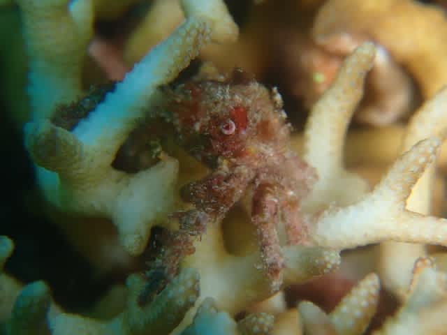 P8150022_640x480 P8150022_640x480