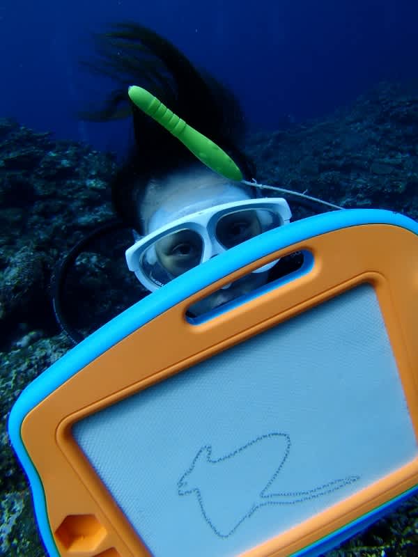 P6280017_600x800 P6280017_600x800