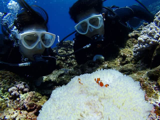 P9230014_640x480 P9230014_640x480