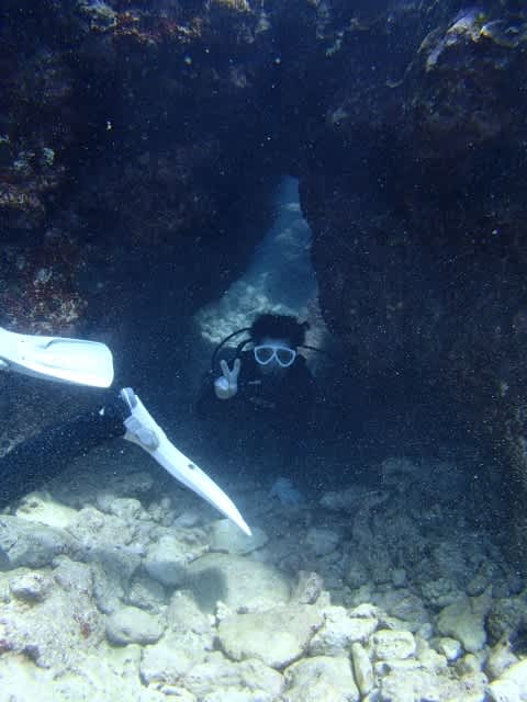 P9090021_480x640 P9090021_480x640