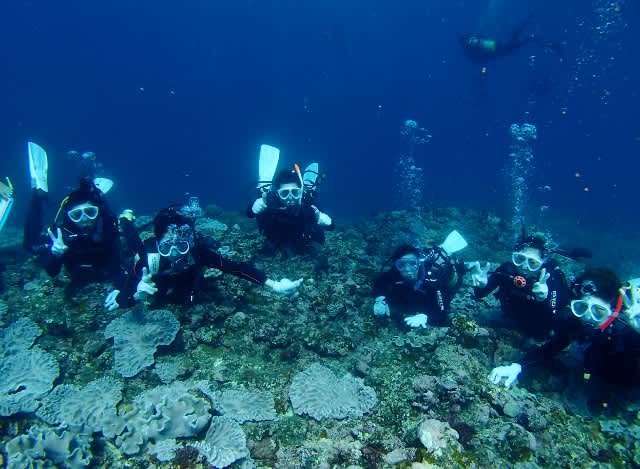 P9280006_640x469 P9280006_640x469