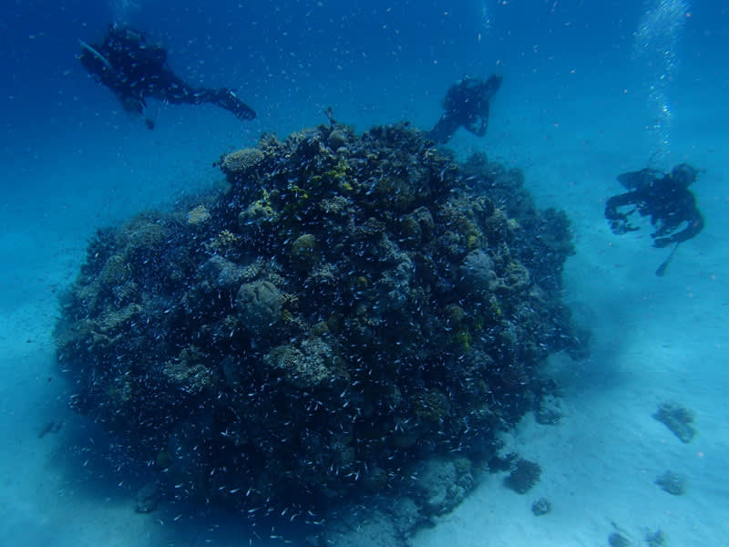 P5310021_1024x768 P5310021_1024x768