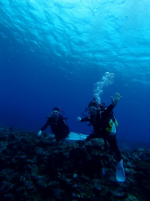 Pa250042_480x640 Pa250042_480x640