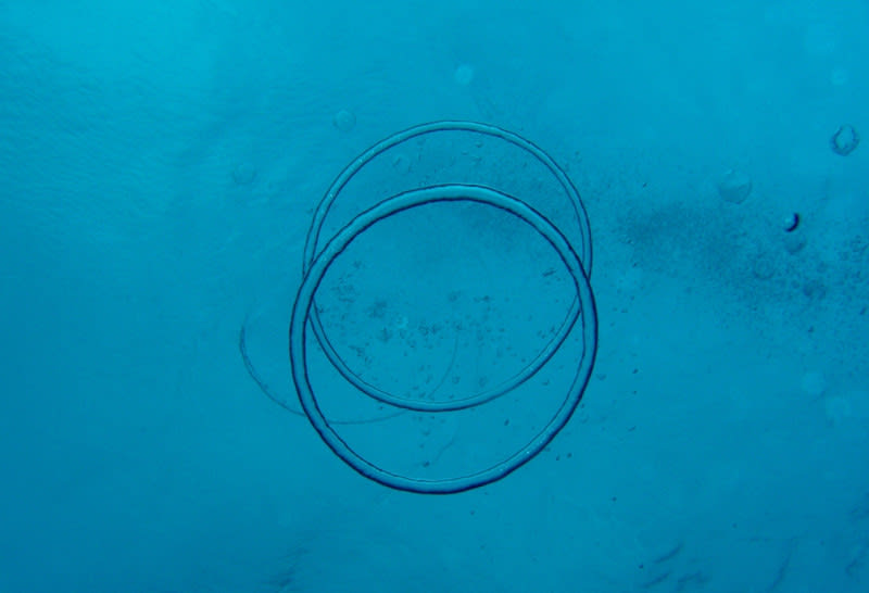 Gedc0015_1024x699 Gedc0015_1024x699