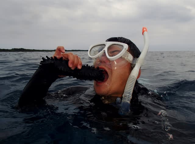 P4190027_640x474 P4190027_640x474