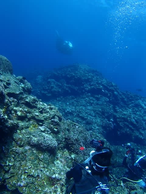 P9080025_480x640 P9080025_480x640