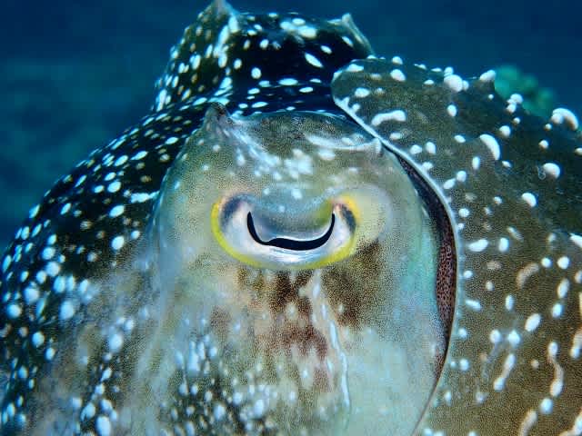 P5280015_640x480 P5280015_640x480