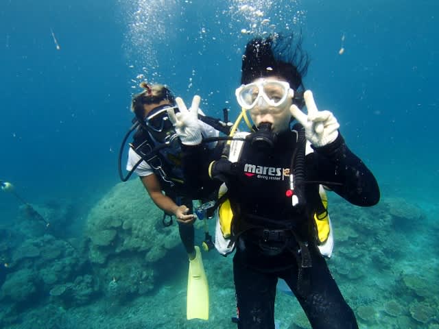 P9270039_640x480 P9270039_640x480