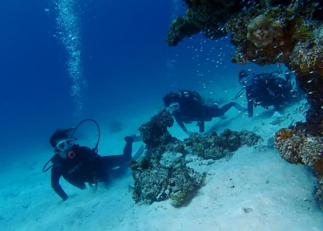 P9280049_640x458 P9280049_640x458