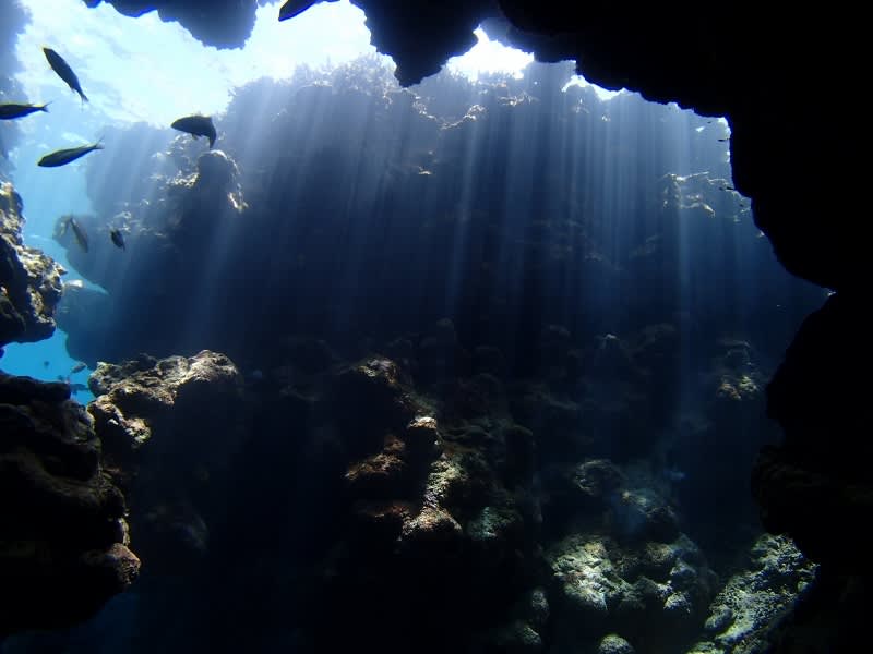 P6230018_800x600 P6230018_800x600