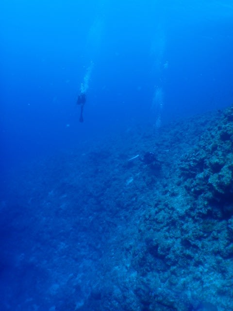 Pc040049 Pc040049