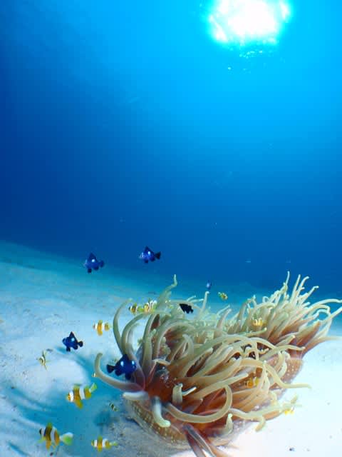 Pc010007 Pc010007