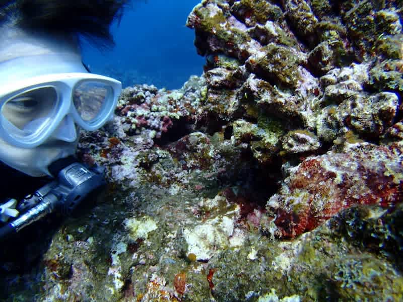 P6280022_800x600 P6280022_800x600