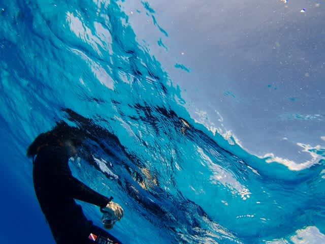 P9160015_640x480 P9160015_640x480