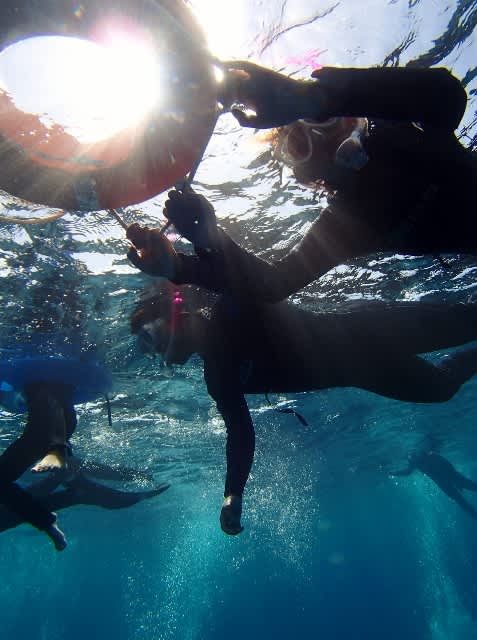 P9230032_477x640 P9230032_477x640