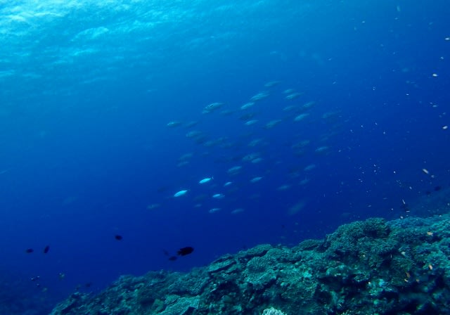 P8155315_640x448 P8155315_640x448