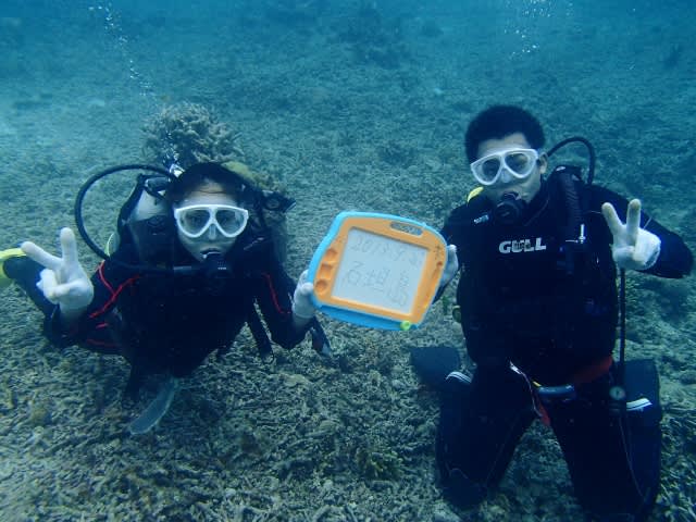 P9270045_640x480 P9270045_640x480