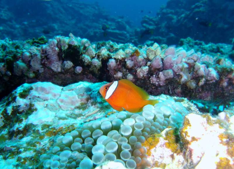 Gedc0015_2 Gedc0015_2