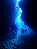 P9180040_480x640 P9180040_480x640