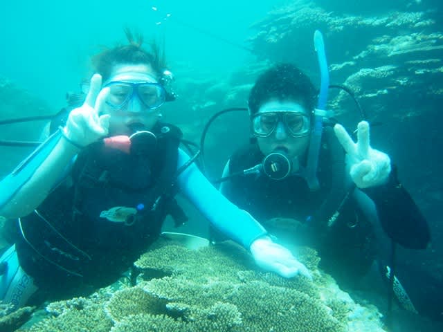 P7240040_2 P7240040_2