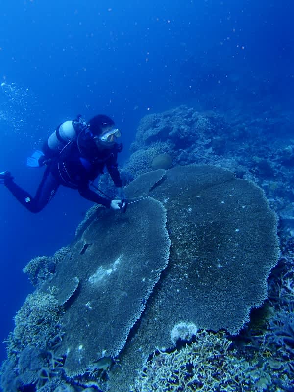 P6222036_600x800 P6222036_600x800