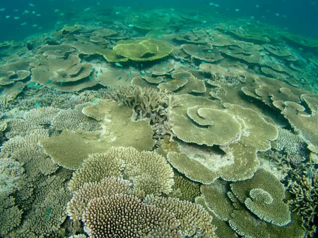 P3230004_640x480 P3230004_640x480