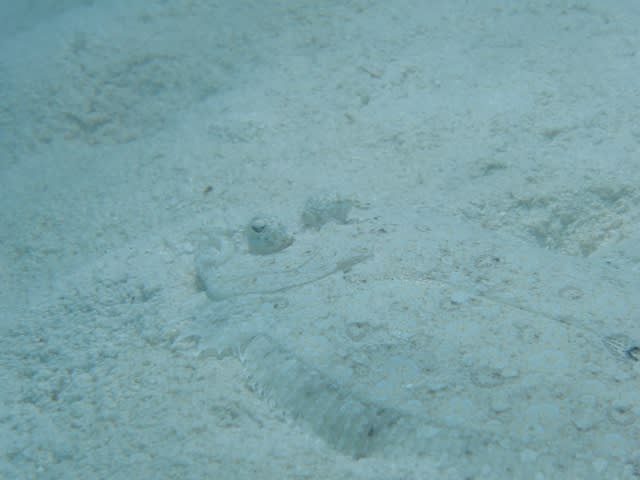 P7160005_640x480 P7160005_640x480